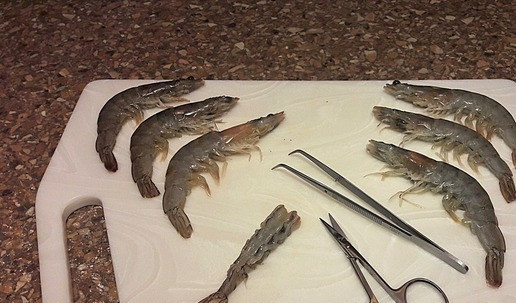 1. Этап. Тигровые креветки в темпуре и фритюре: Очищаем креветки, удаляем головы и кишечные вены. Хвостик оставляем.