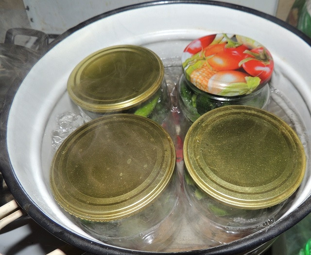 1. Этап. Маленькие огурчики на зиму: На дно большой кастрюли постелите полотенце, поставьте банки и налейте воду до краев банок. Стерилизуйте минут 20.