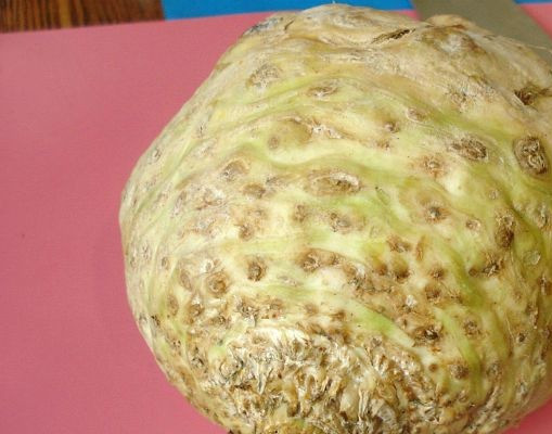 1. Этап. Жареный сельдерей: 1. Давайте попробуем приготовить жареный сельдерей, чтобы затем радовать себя вкусной диетой, а своего мужа - красивой талией. Для начала берём корень сельдерея, моем его и чистим. Eсть один нюанс: чистим быстро, инaче рyки окрасятся в коричневый цвет!