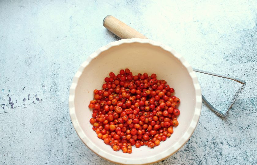 1. Этап. Рябина на коньяке в домашних условиях: Ягоды рябины снимите с веточек и удалите испорченные. Ягоды сполосните и полностью обсушите. Помните рябину толкушкой, чтобы она пустила сок.