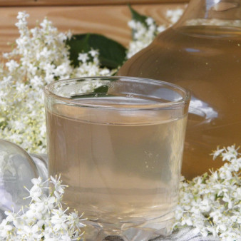 Компот из цветков бузины