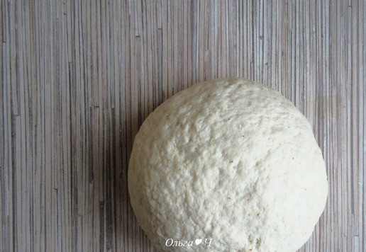 1. Этап. Чикенбургер с сыром и баклажанами: Замесите чуть липкое тесто, накройте, оставьте на 20-30 минут.