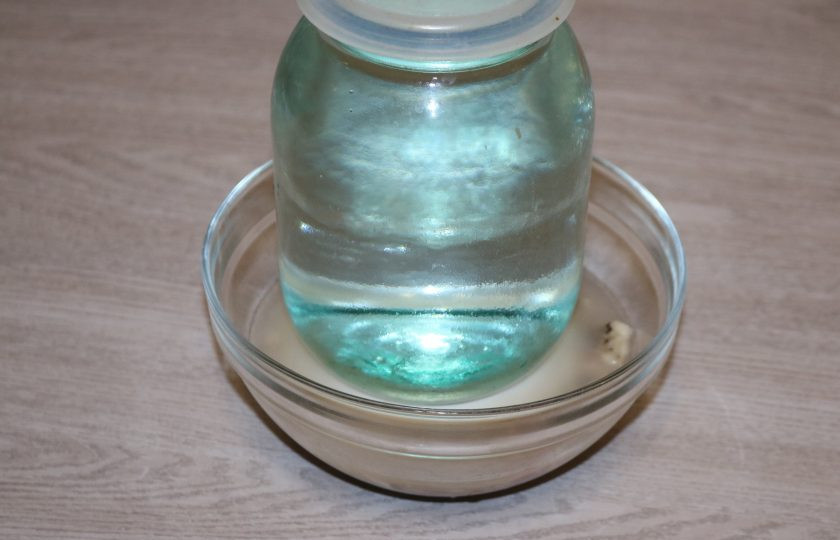 1. Этап. Хе из сельди по-корейски: Поставьте гнёт и оставьте на 20-30 минут.