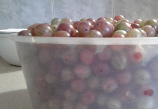 1. Этап. Варенье-желе из крыжовника и смородины: Как подсохнут, отвешиваю на весах по 2 кг тех и тех. Это крыжовник.