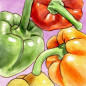Turkey Fajitas