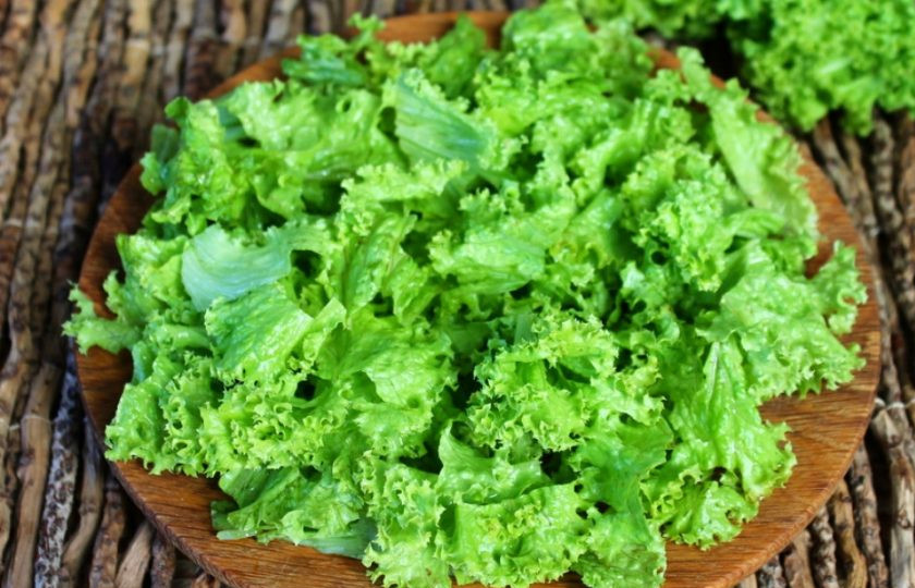 1. Этап. Салат из помидор с курицей и сыром: Листья салата моем, просушиваем, разделяем на кусочки и кладем на плоскую тарелку.