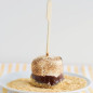 S'mores on a Stick
