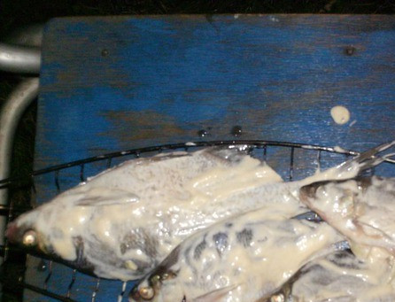 1. Этап. Рыба, запеченная на решетке: Солим, перчим, заправляем майонезом и соком лимона. Добавьте внутрь рыбы измельченную зелень.