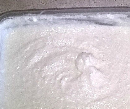 1. Этап. Натуральное мороженое: Вот так выглядит мороженое после последнего взбивания.