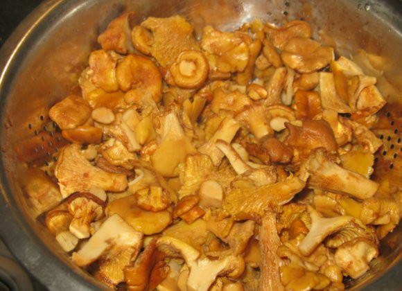 1. Этап. Картошка со свежими грибами жареная: Отварите грибы, минут 30 в подсоленной воде, снимайте пену. Потом слейте воду.