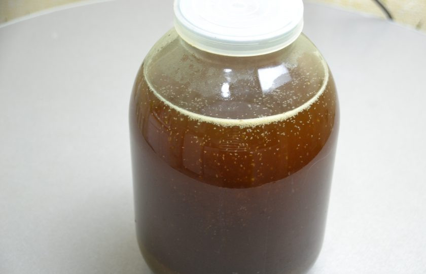 1. Этап. Квас Ядреный: Влейте процеженный квас. Уже через 15-20 минут можно наблюдать активное брожение.