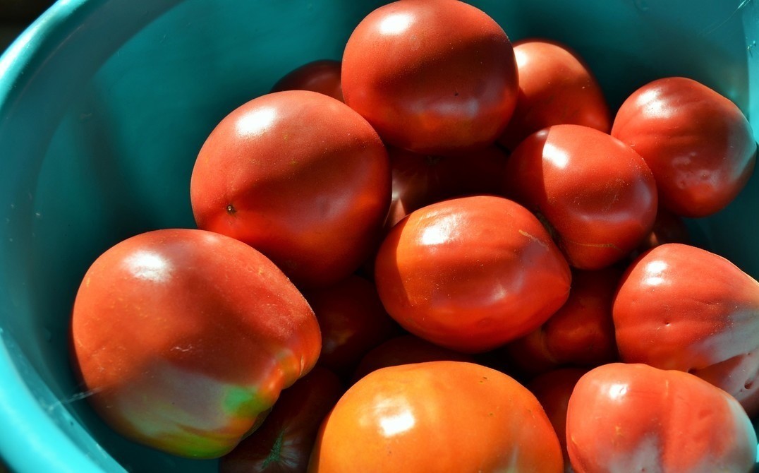 1. Stage. Tomato and apple sauce: You can use different tomatoes, as long as they are ripe. Wash them and cut into 4-8 pieces, removing the stalks.