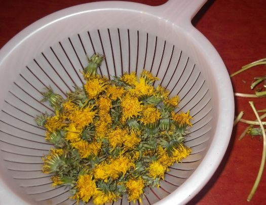 1. Этап. Варенье из одуванчика для печени: Одуванчики для варенья нужно собирать в экологически чистом месте в солнечный день. Цветки отделите от стеблей и хорошенько промойте. Затем добавьте одуванчики в сахарный сироп.