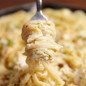 Crab Alfredo