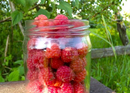 1. Этап. Малиновое варенье без воды: 3. Осторожно закладываем ягоды в банки. Можно в каждую банку добавить еще по столовой ложке сахара сверху.