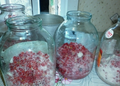 1. Этап. Вино из смородины: И засыпать 1 стаканом сахара.