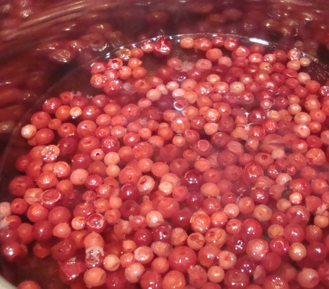 1. Этап. Брусничный соус к индейке: 1. Ягоды хорошо промоем, заливаем водой и варим до размягчения ягод. Воду сливаем.