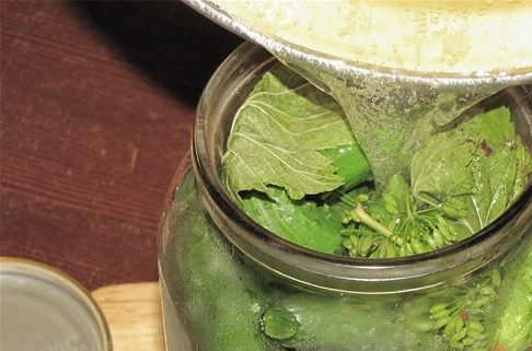 1. Этап. Маринованные корнишоны: Слейте воду назад в кастрюлю. Добавьте к ней соль с сахаром. Доведите рассол до кипения, а потом залейте его снова в банку.