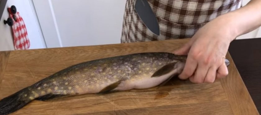 1. Этап. Вкуснейшие котлеты из щуки: 1. Разделайте щуку: под плавниками сделайте надрез, когда нож коснется хребта, поставьте нож под углом и срежьте мясо с самого хребта. Переверните рыбу на другую сторону и проделайте то же самое.