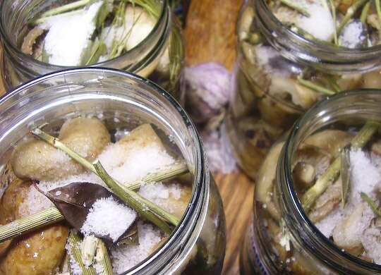 1. Этап. Грузди маринованные хрустящие: 3. На дно баночек выкладываем все оставшиеся приправы, сахар и специи. Закладываем грибы и заливаем горячим маринадом. Сверху - по 1 ст. ложке соли на банку.