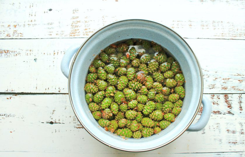 1. Этап. Варенье из сосновых шишек с медом: Шишки переберите, удалите жесткие хвостики, иголочки и промойте в теплой воде. Выложите шишки в кастрюлю и залейте одним литром холодной воды, оставьте на одни сутки в прохладном месте.