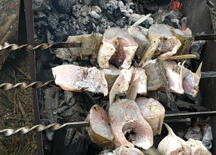 1. Этап. Шашлык из судака: Нанизать кусочки рыбы на шампуры и запекать на углях до готовности.