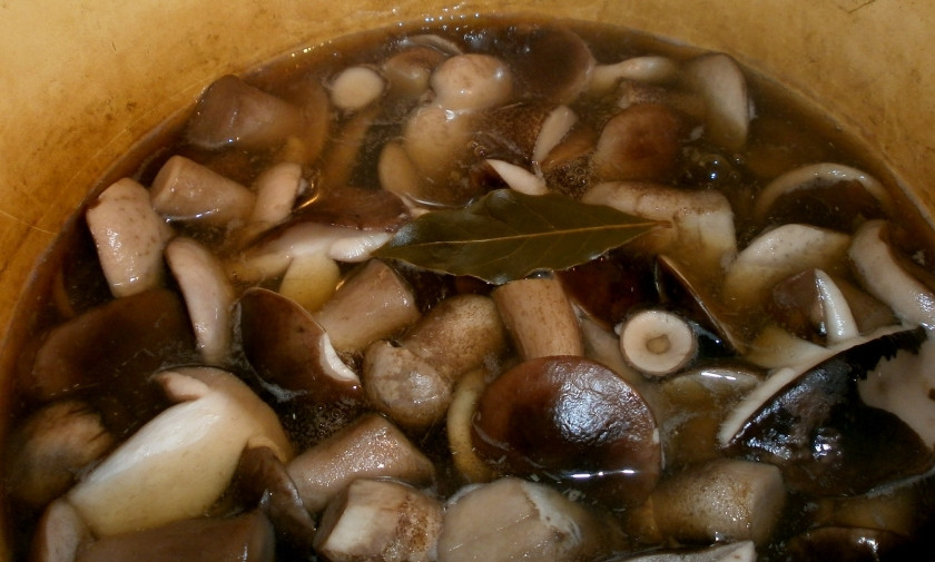 1. Этап. Маринованные подберезовики на зиму: Залейте грибы горячей водой, доведите до кипения и варите 5 минут. Затем откиньте в дуршлаг и промойте грибы холодной водой. Заливаем подберезовики литром горячей воды, добавляем специи и пряности, лимонную кислоту. Доведите до кипения, проварите 10 минут и добавьте соль, сахар и укроп. Варите на медленном огне еще 15 минут.