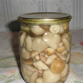 Маринованные шляпки подберезовиков