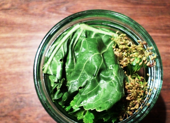 1. Этап. Огурчики с кетчупом на зиму: Также сверху вставьте зонтик укропа.