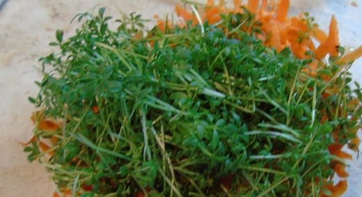 1. Этап. Кресс-салат: Кресс-салат тщательно вымойте, чтоб на нем не осталось песка и земли. Затем откиньте его на дуршлаг и дайте салату обсохнуть. Добавьте зелень к морковке.