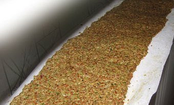 1. Этап. Хлебцы для похудения: Тесто выложить толщиной полсантиметра на пекарской бумаге. Сушить на слабом огне в духовке пару часов.