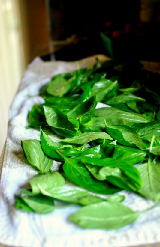 1. Этап. Песто из базилика: Листья базилика промойте и хорошо просушите.
