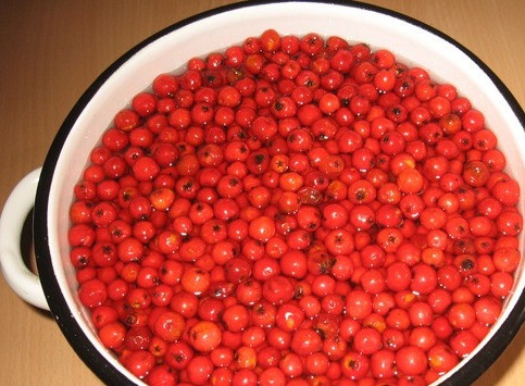 1. Этап. Варенье из садовой рябины: 3. Если у вас остается рябина, можете смело ее заморозить, чтобы в холодную пору побаловать себя узваром.