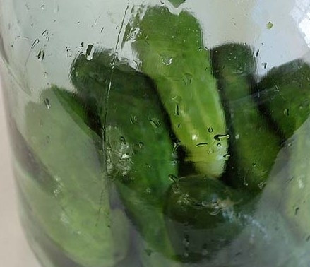 1. Этап. Соленые огурцы холодным способом: В банки плотно уложить огурцы и приправы.