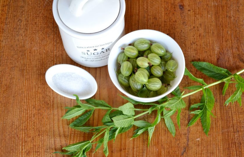 1. Этап. Компот из крыжовника с мятой: Крыжовник и мяту вымойте, доведите до кипения воду.