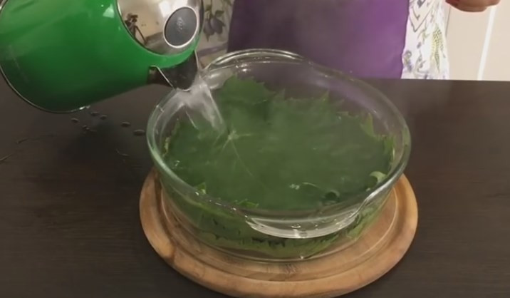 1. Этап. Голубцы в виноградных листьях: 7. От виноградных листьев отрежьте черенки, сложите листья в посуду и залейте их крутым кипятком, подержите от 1 до 5 минут. Лист должен поменять цвет и стать мягким. Воду слейте.