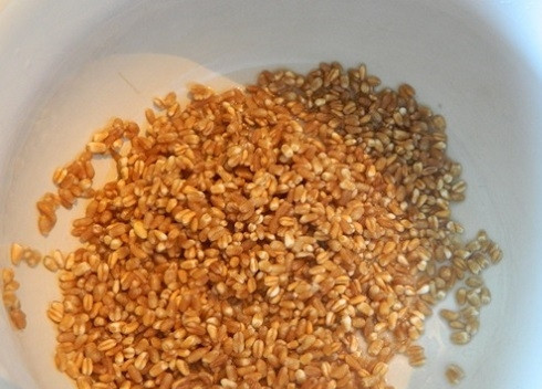 1. Этап. Бидай коже: Для приготовления напитка можно взять не только пшеницу, но и ячмень. Зерна должны быть очищены. Тщательно промываем.