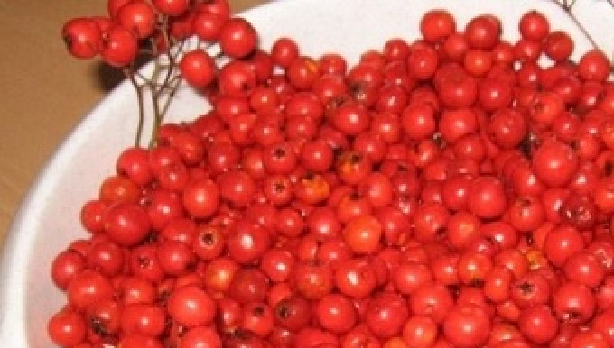 1. Этап. Варенье из лесной рябины: 1. Чтобы приготовить варенье из лесной рябины в домашних условиях, я беру всегда рябину свежую, а моя свекровь использует и мороженную. Итак, для начала отделите ягоды и замочите их на 10 минут. После этого тщательно вымойте ягоды и откиньте на дуршлаг.