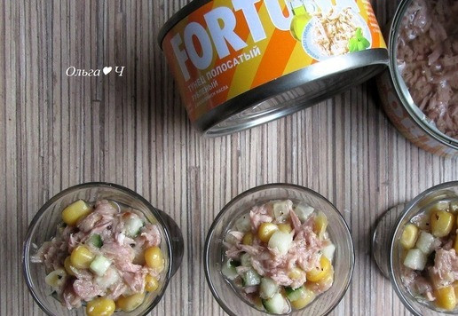 1. Этап. Веррины Тунец и чиа: Выложите сверху слой с тунцом.