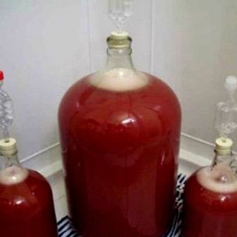 Брага для самогона из варенья