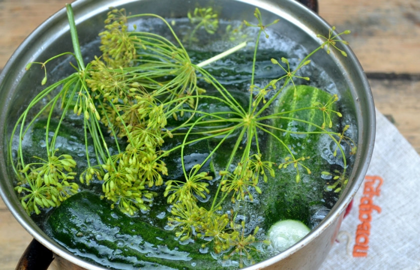 1. Этап. Огурчики на минералке: Накройте огурцы оставшимися зонтиками укропа и залейте хорошенько охлажденной минеральной водой.