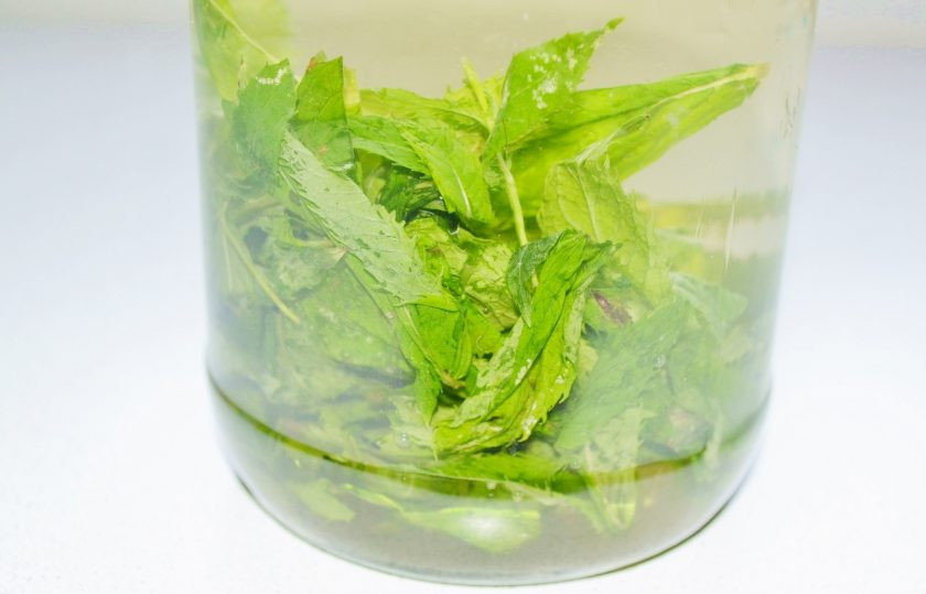 1. Этап. Мятная настойка на самогоне: Залейте самогоном (можно использовать и водку), накройте крышкой и уберите в темное место.