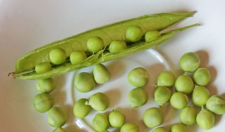 1. Этап. Салат с говяжьим языком и огурцами: Зеленый горошек промойте и дайте ему обсохнуть. Затем откройте каждый стручок и достаньте горошинки.