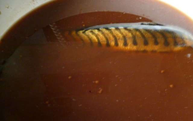 1. Этап. Копченая рыба в домашних условиях: 4. Теперь добавляем соль и сахар, полученную заварку и приправы. Перемешиваем маринад и опускаем туда нашу рыбу.