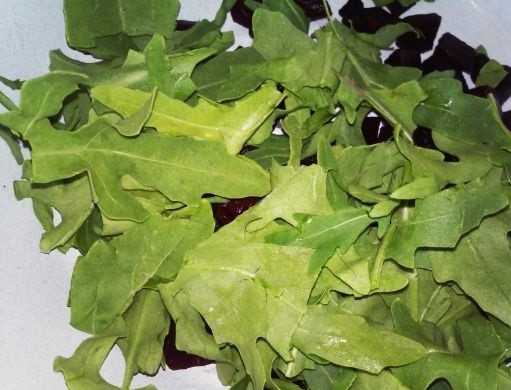 1. Этап. Салат из вареной свеклы с сыром: 4. Измельчите немного и выложите в салатник.