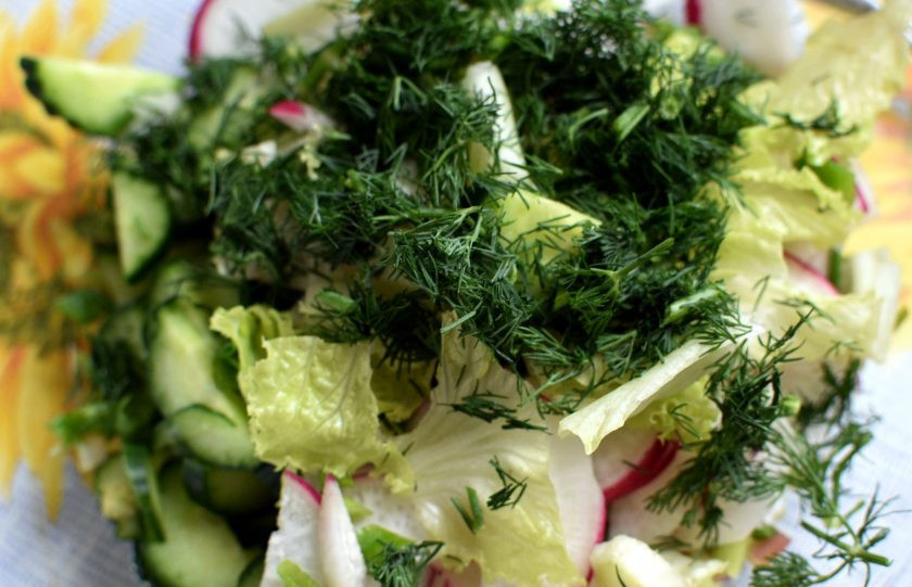 1. Этап. Летний салат с редисом и черемшой: Салат нарвите руками некрупно, зелень лука и укропа измельчите. Добавьте все в миску к редису.