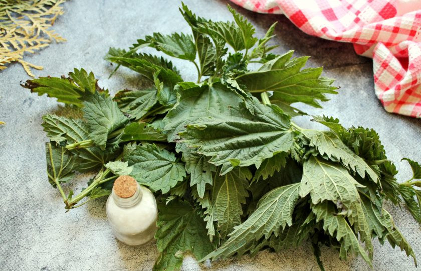 1. Этап. Крапива на зиму для супа: Подготовьте все необходимые ингредиенты для приготовления крапивы на зиму для супа.