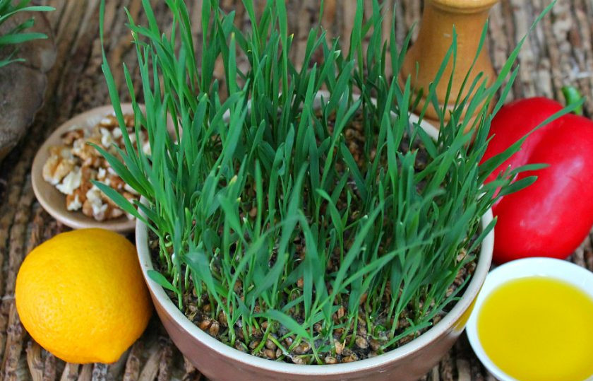 1. Этап. Салат с ростками пшеницы: Подготовим ингредиенты.