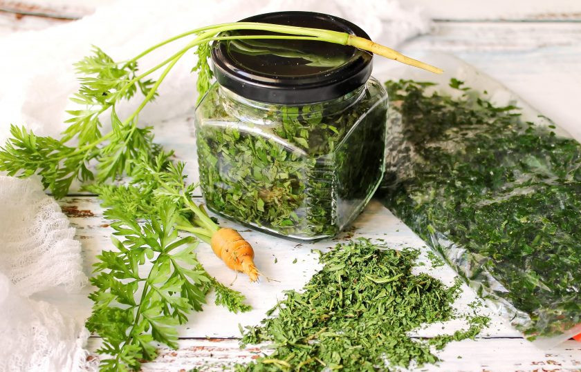 1. Этап. Морковная ботва на зиму: Приятного применения!