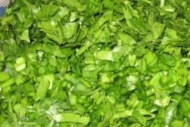 1. Этап. Холодник из свеклы на воде: Зелень измельчить.